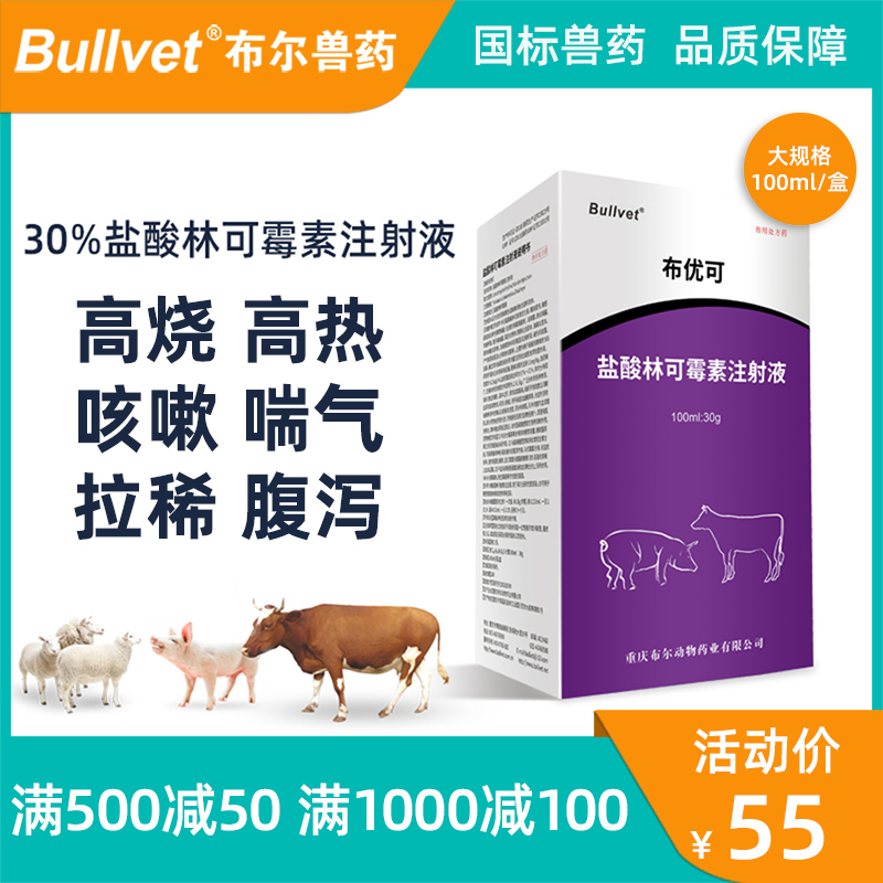 布尔盐酸林可霉素液注射液兽用30%低烧咳嗽肠炎兽药猪牛羊针剂