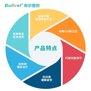 维生素B2主图-2