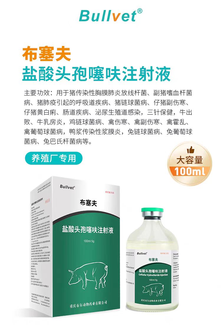 微信图片_20250113170207.jpg