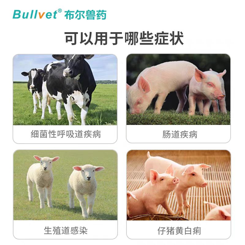 微信图片_20250113170128.jpg