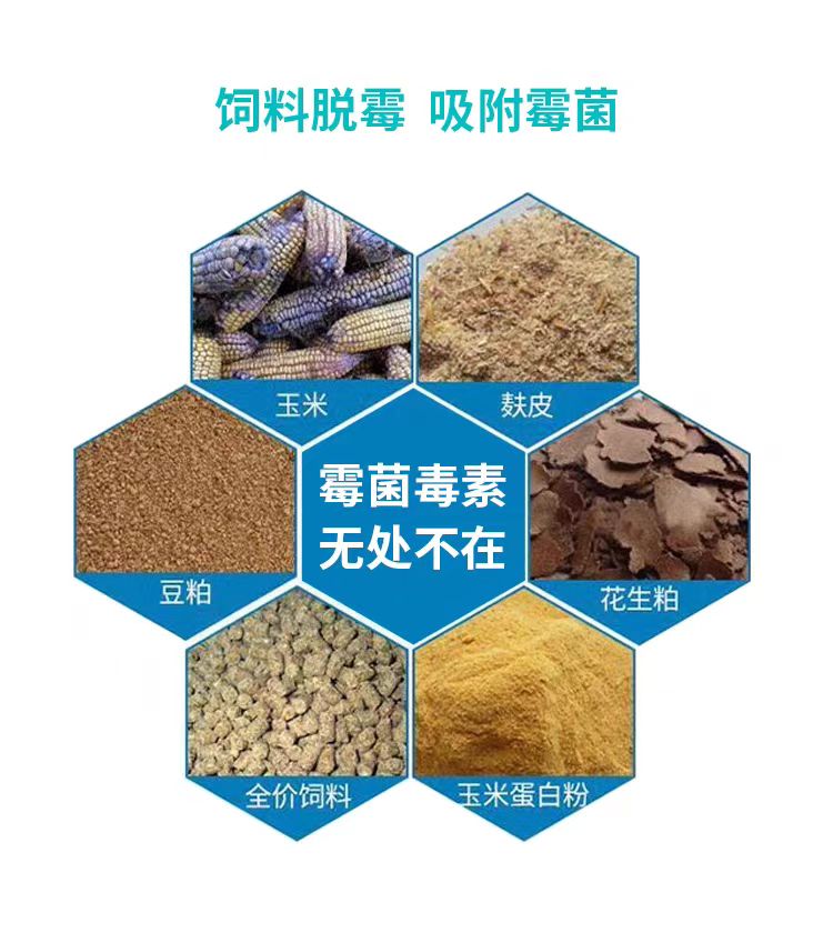 微信图片_20250117092746.jpg