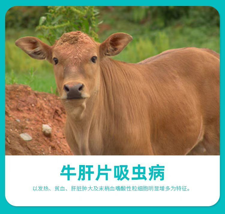 1MV7}Z238~7KPN4FY8XB8[R.png