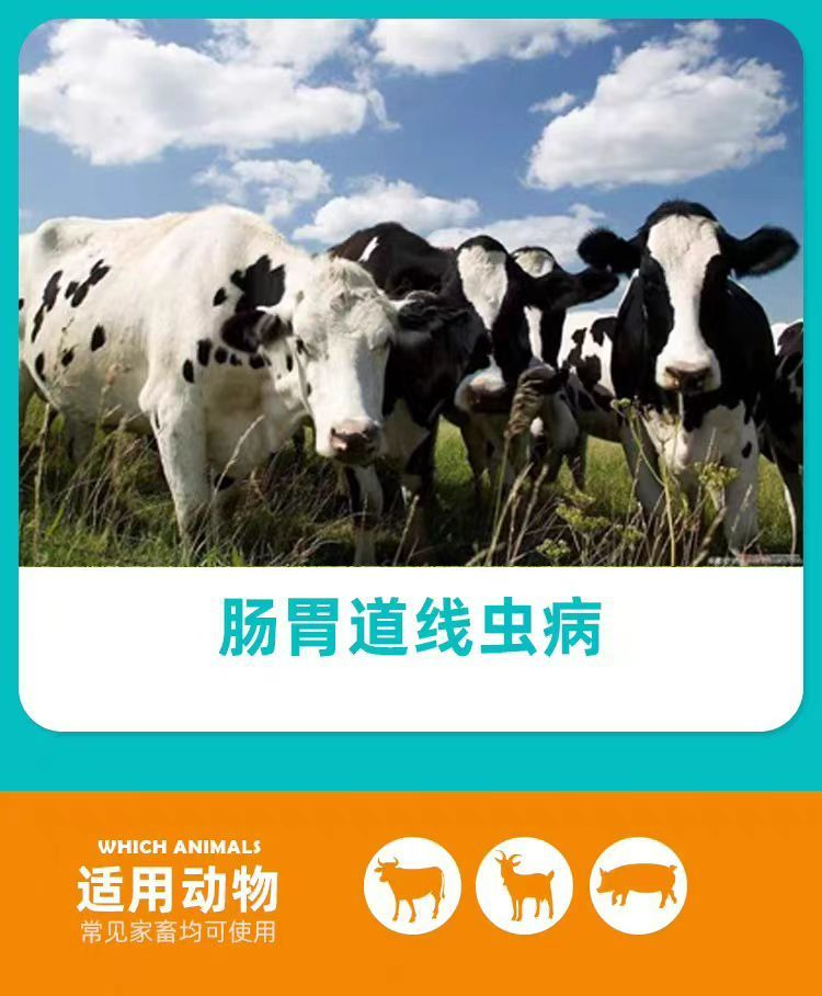 QQ8[FZY77]8(60NCJW{7A[4.png