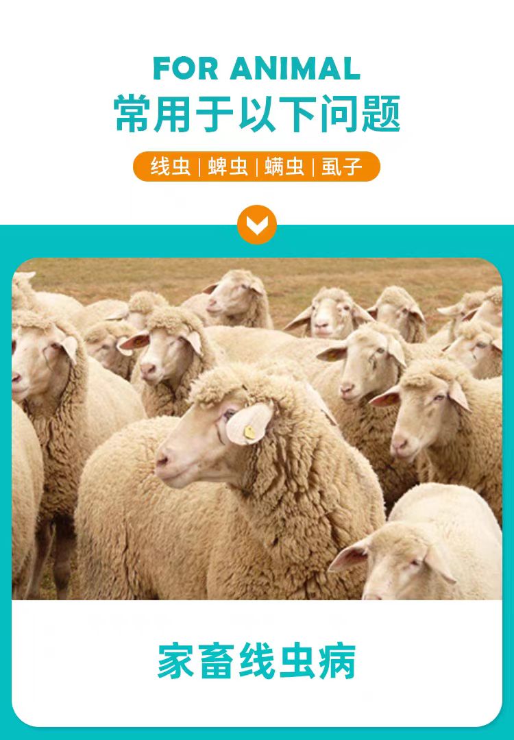微信图片_20250312142536.jpg