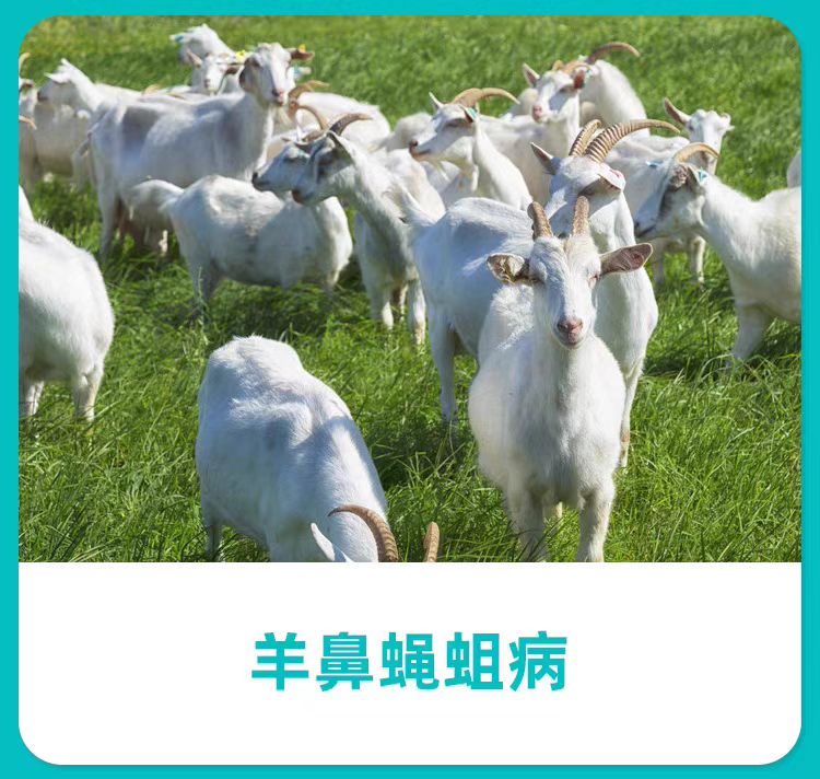 微信图片_20250312142537.jpg