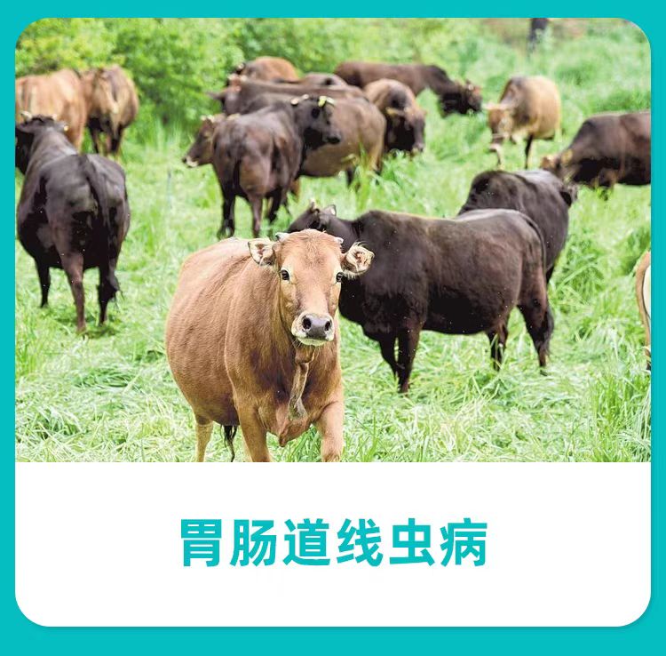 微信图片_20250312142539.jpg