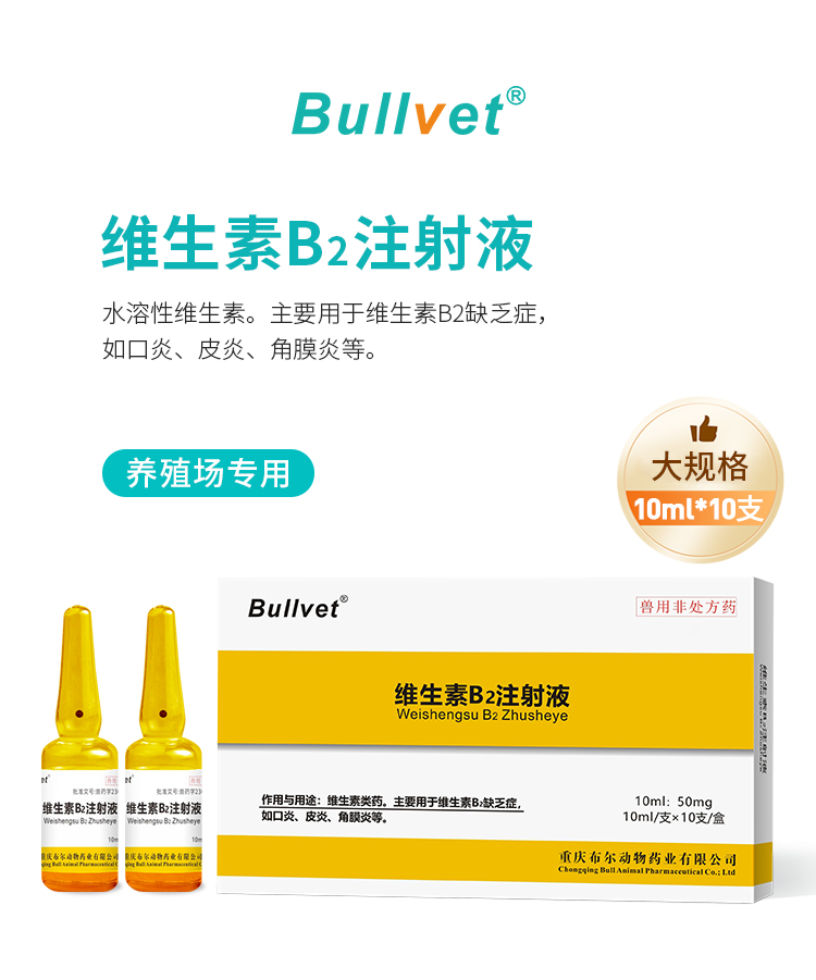 维生素详情_01.jpg